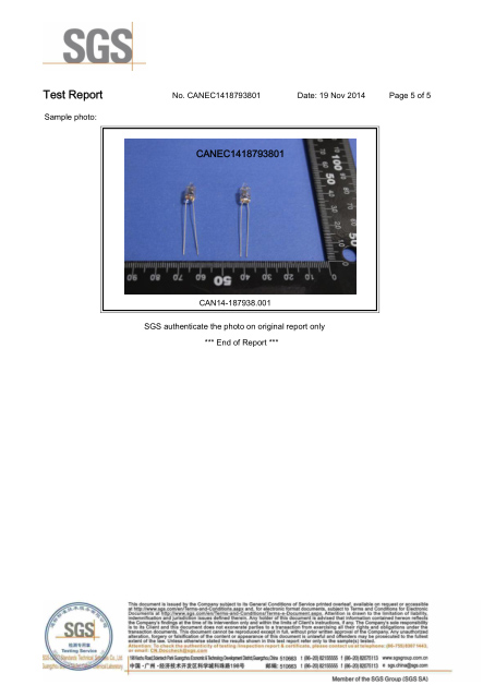林欣公司15年氖灯SGS环保报告